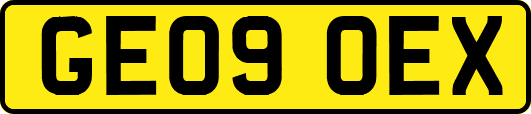 GE09OEX