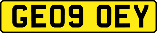 GE09OEY