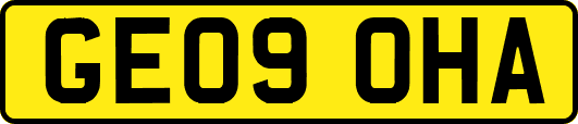 GE09OHA