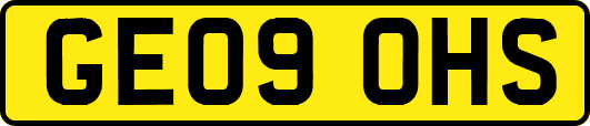 GE09OHS