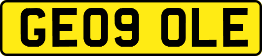 GE09OLE