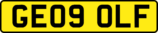 GE09OLF