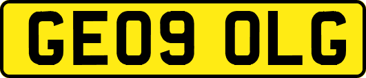 GE09OLG