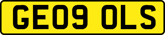 GE09OLS