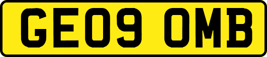 GE09OMB