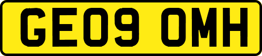 GE09OMH