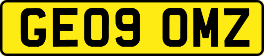 GE09OMZ