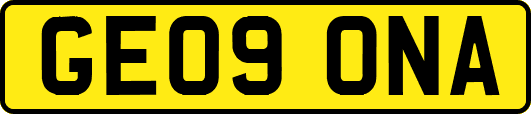 GE09ONA