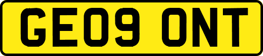 GE09ONT