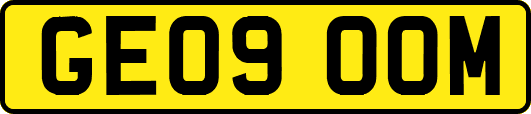 GE09OOM