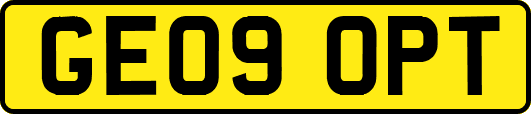 GE09OPT