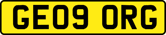 GE09ORG