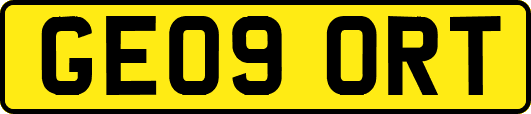 GE09ORT