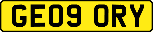 GE09ORY