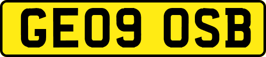 GE09OSB