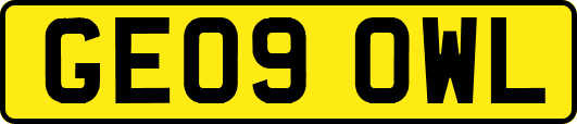 GE09OWL