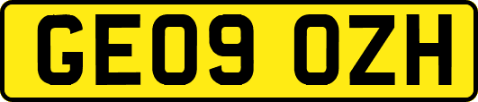 GE09OZH