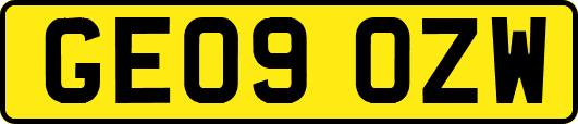 GE09OZW