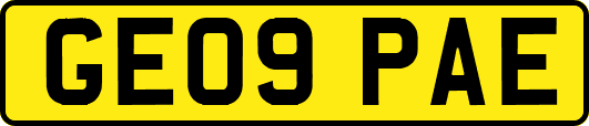 GE09PAE