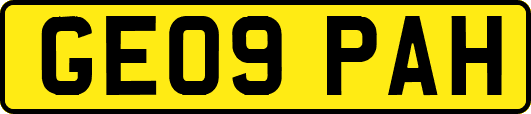 GE09PAH