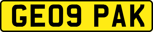 GE09PAK