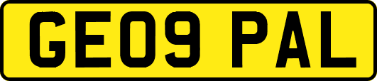 GE09PAL