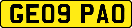 GE09PAO