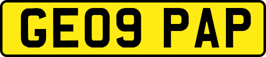 GE09PAP