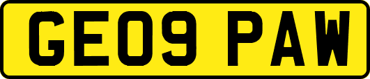 GE09PAW