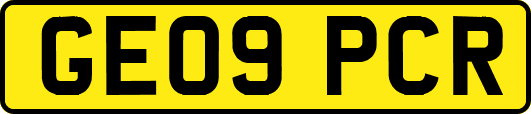 GE09PCR