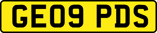 GE09PDS
