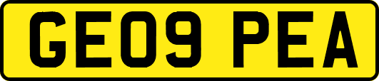 GE09PEA