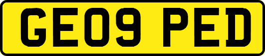 GE09PED