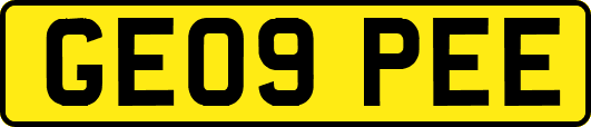 GE09PEE