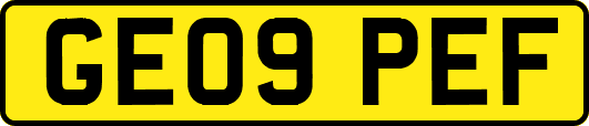 GE09PEF