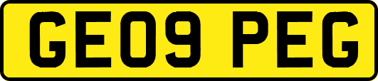 GE09PEG