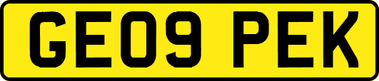GE09PEK