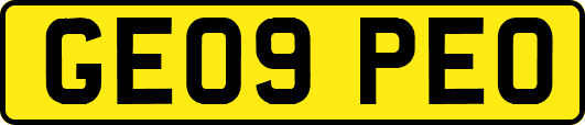 GE09PEO