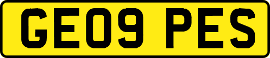 GE09PES