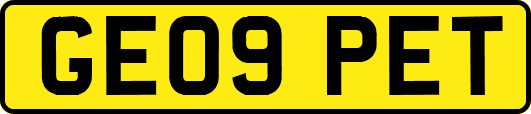 GE09PET
