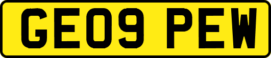 GE09PEW