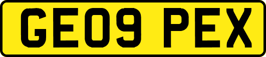 GE09PEX