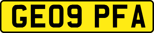 GE09PFA