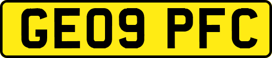 GE09PFC