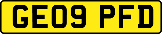 GE09PFD