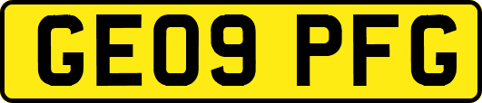 GE09PFG