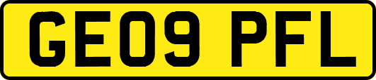 GE09PFL