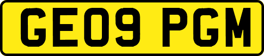 GE09PGM