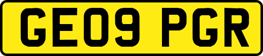 GE09PGR