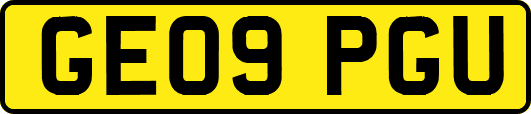 GE09PGU